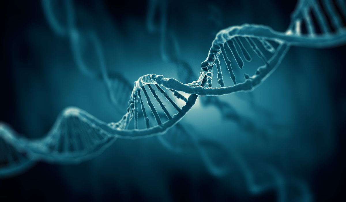 CASE STUDY: Helping a life science HR team with technical prequalification