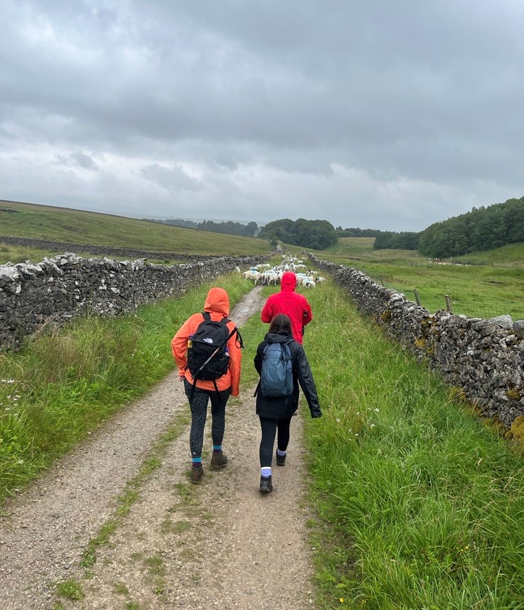 3 employees hiking in the rain