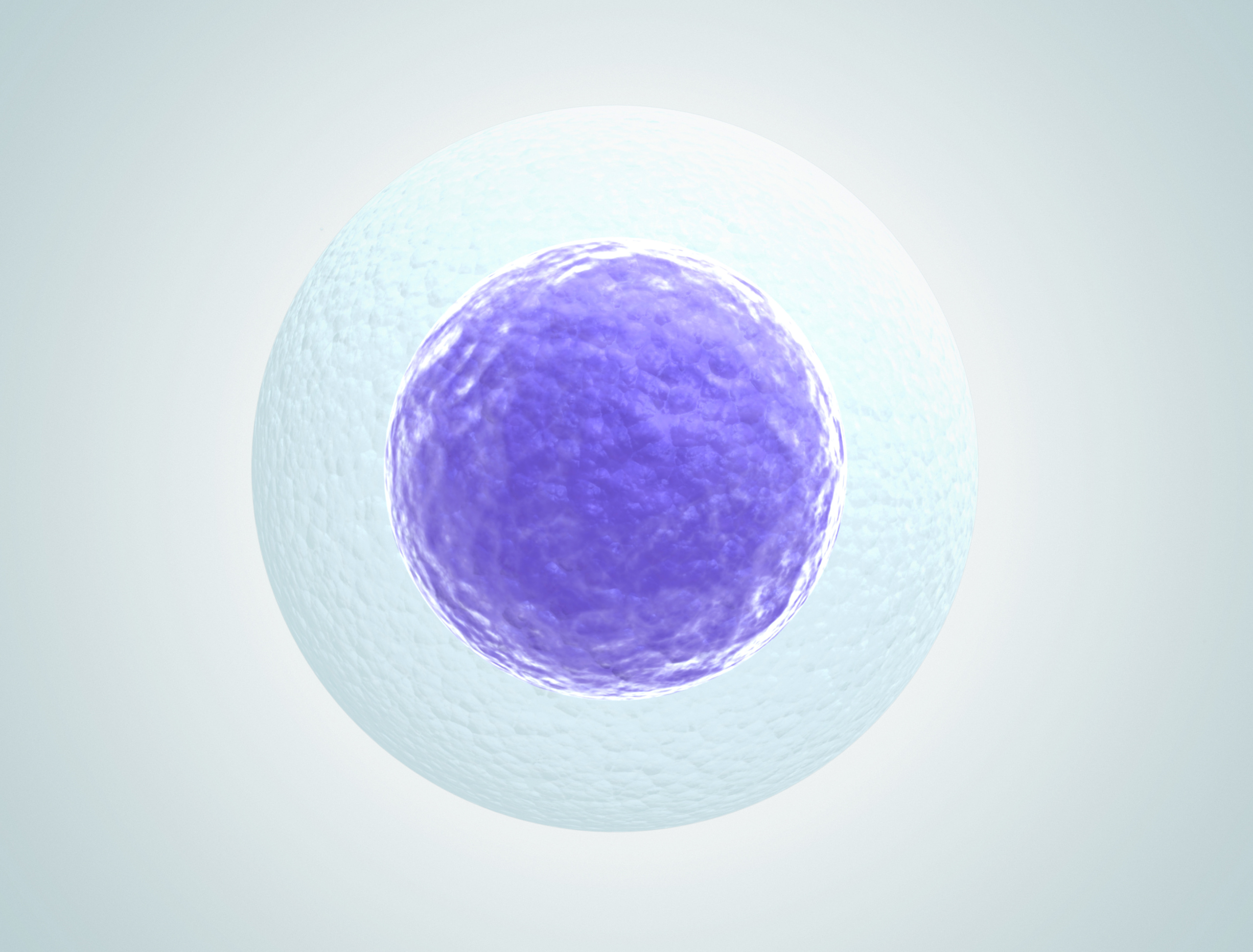 Biotech Funding Rounds and Key Findings | February