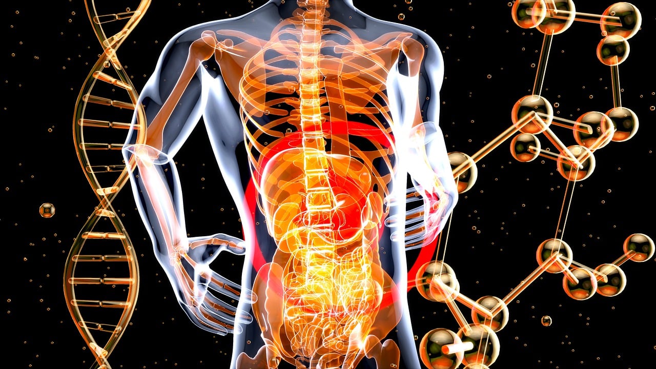 Digestive Health: The Startups Revolutionizing GI Care