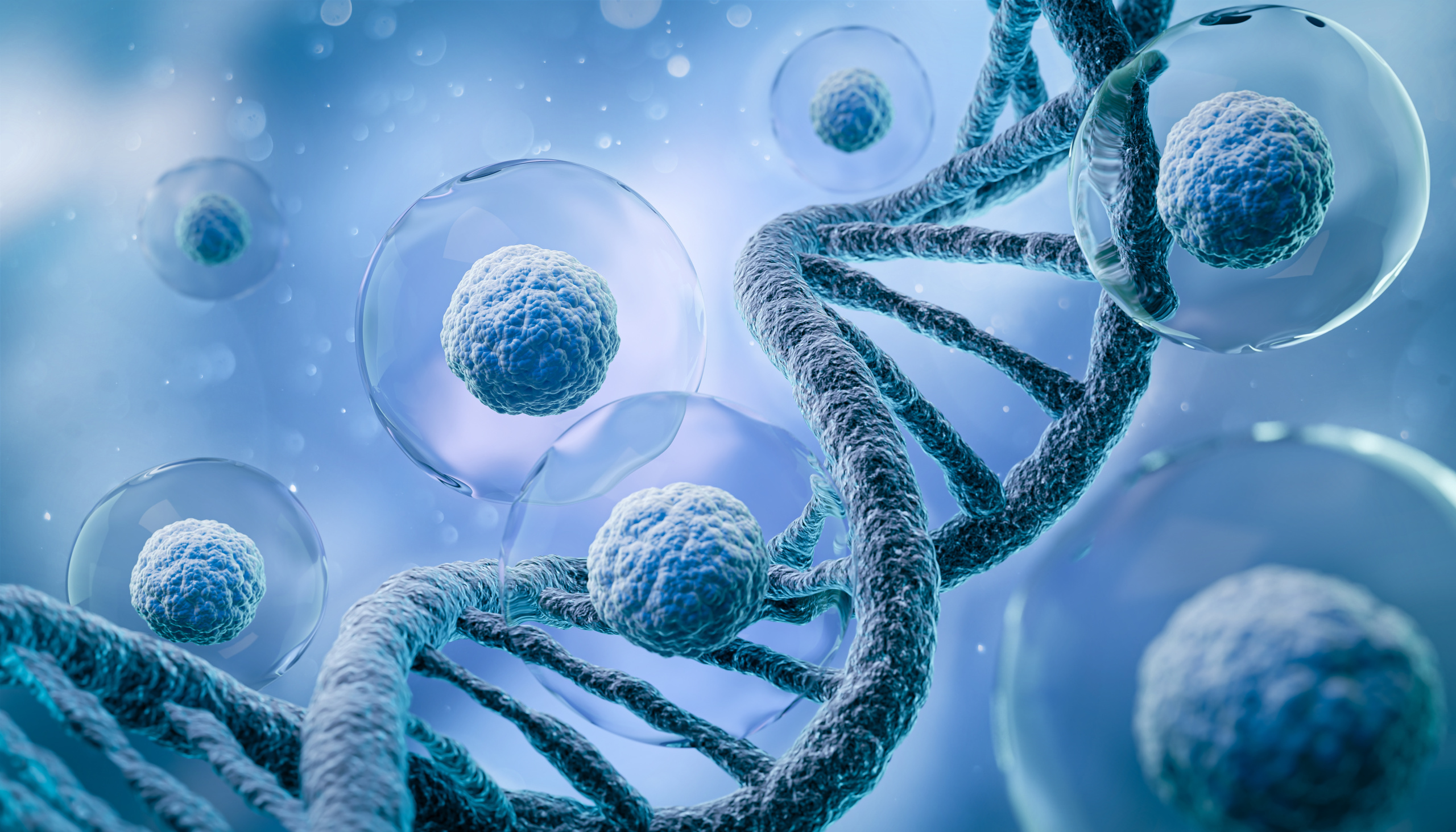 CASE STUDY: Building a European team for SeqOne Genomics