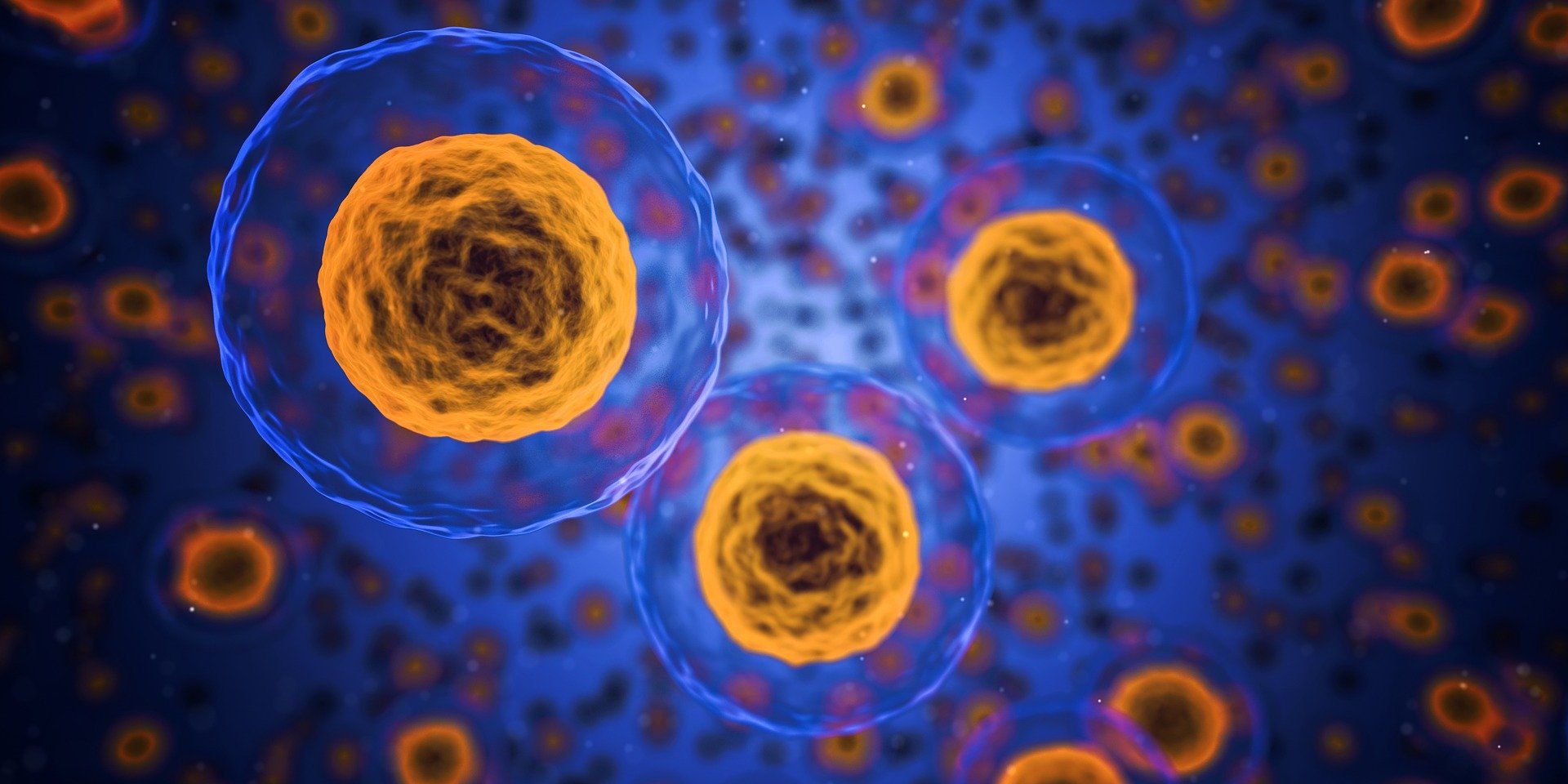 Biotech Funding Throughout Q4 2024 | Seed to Series A-E
