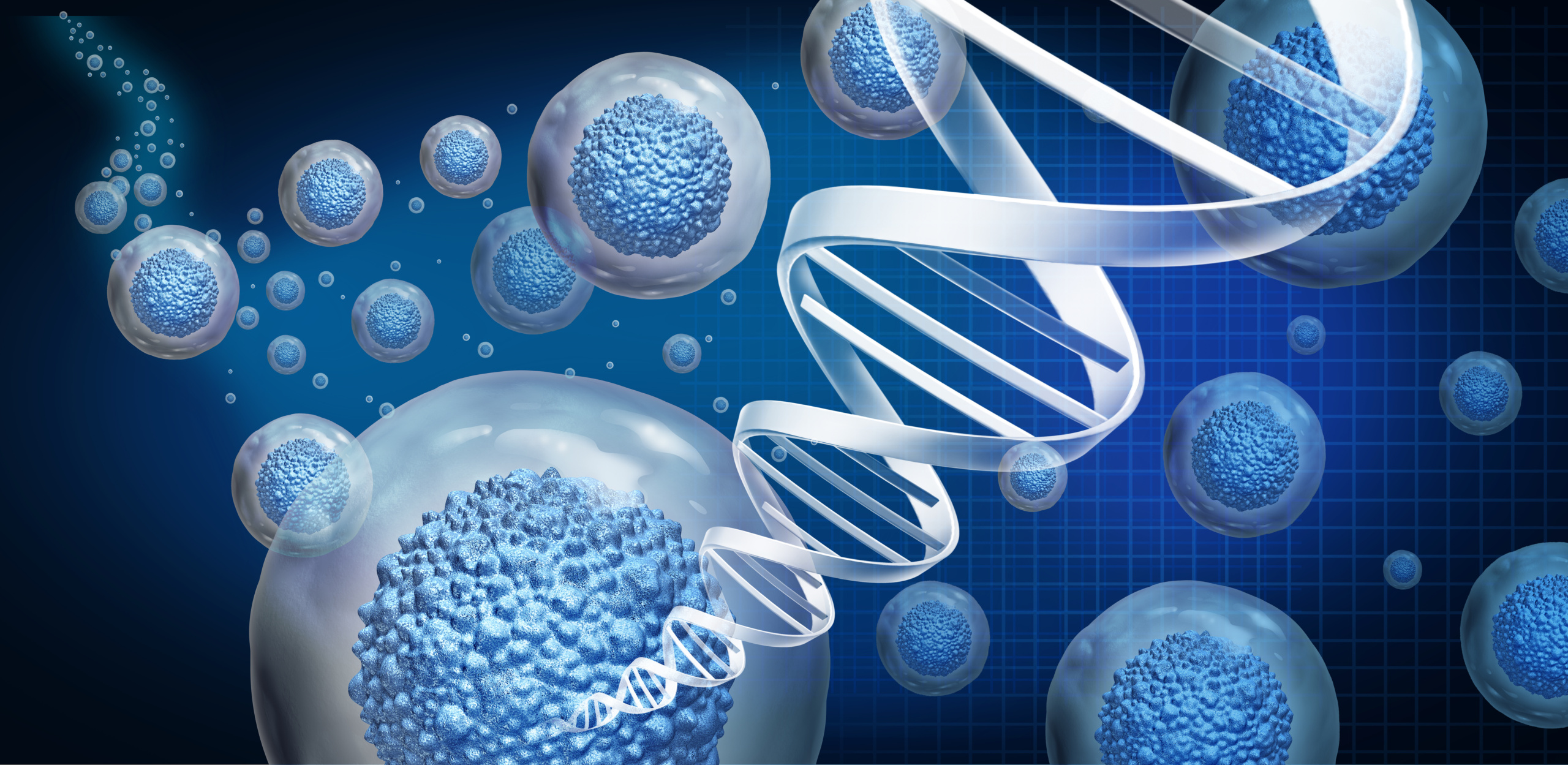 Building a European team for SeqOne Genomics